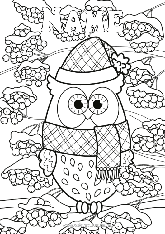 Colouring page to print Snow Winter Owl, Tawny Owl Animal Birds And Flying Mammals Pine Cone Scarf Winter Hat