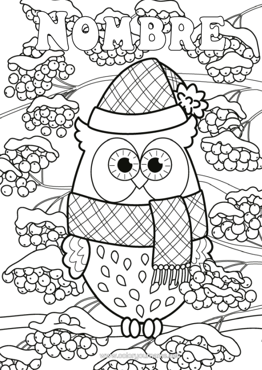 Dibujo para colorear para imprimir Nieve Invierno Búho Animales Aves Y Mamíferos Voladores Cono De Pino Bufanda Gorro De Invierno