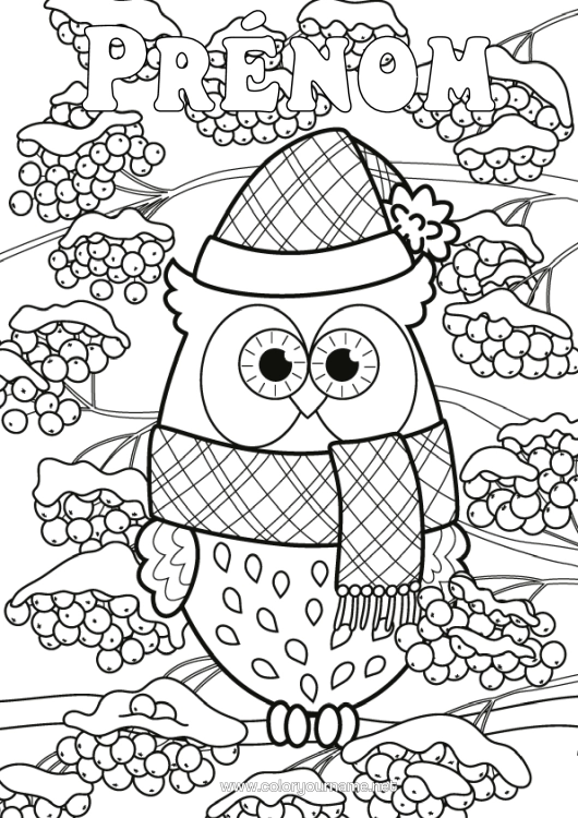 Coloriage à imprimer Neige Hiver Chouette, Hibou Animal Oiseaux Et Mammifères Volants Pomme De Pin Écharpe Bonnet D'hiver