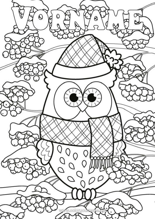 Malvorlage zum Ausdrucken Schnee Winter Eule, Uhu Tier Vögel Und Fliegende Säugetiere Kiefernzapfen Schal Wintermütze
