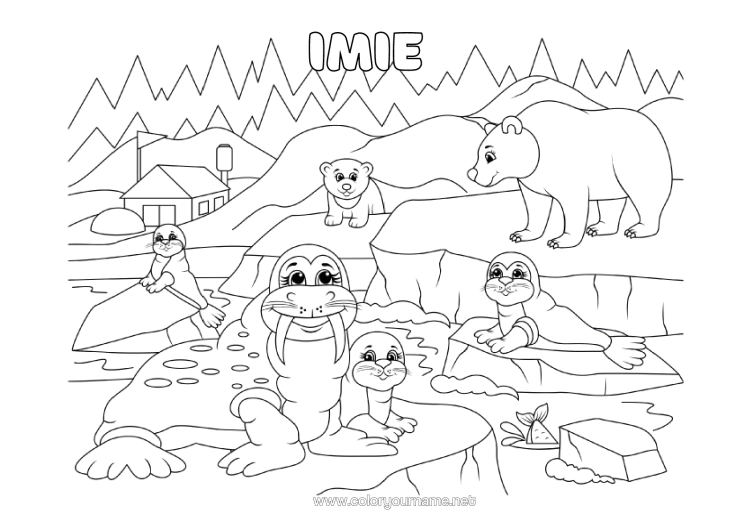 Kolorowanka do wydruku Niedźwiedź Zwierzę Foka Zwierzęta Morskie Lub Wodne Zwierzęta Leśne Morse Lodowiec Niedźwiedź Polarny