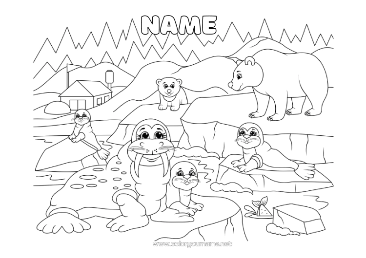 Colouring page to print Bear Animal Seal Marine Or Aquatic Animals Forest Animals Morse Pack Ice Polar Bear