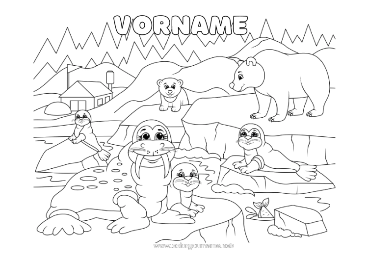 Malvorlage zum Ausdrucken Bär Tier Seehund Meeres- Oder Wasserlebewesen Waldtiere Walross Packeis Eisbär