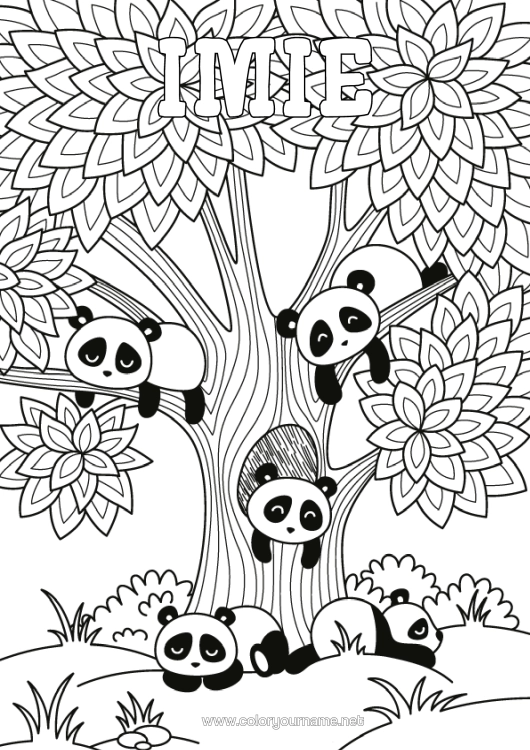 Kolorowanka do wydruku Spokojny I Zen Zwierzę Panda Drzewo Złożone Kolorowanki Zentangle Inne Zwierzęta Świata