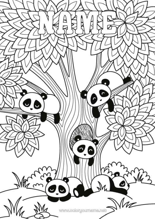 Coloring page to print Calm And Zen Animal Panda Tree Complex Coloring Pages Zentangle Other Animals Of The World