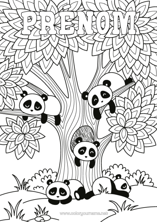 Coloriage à imprimer Calme Et Zen Animal Panda Arbre Coloriages Complexes Zentangle Autres Animaux Du Monde