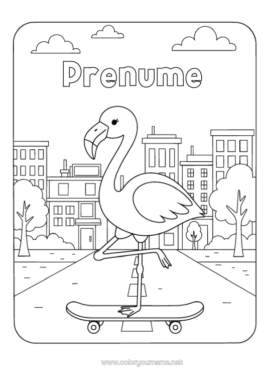 Pagină de colorat de imprimat Flamingo Roz Păsări Și Mamifere Zburătoare Peisaj Urban Skateboard