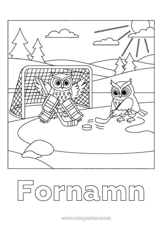 Färgläggningssida att skriva ut Uggla, Hök Fåglar Och Flygande Däggdjur Lagsporter Hockey Vintersporter Konståkning