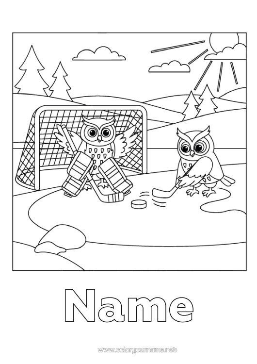 Colouring page to print Sport Owl, Tawny Owl Animal Birds And Flying Mammals Team Sports Hockey Winter Sports Skating