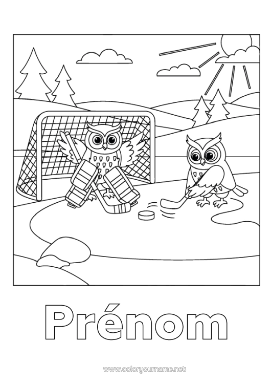 Coloriage à imprimer Chouette, Hibou Oiseaux Et Mammifères Volants Sports D'équipe Hockey Sports D'hiver Patinage