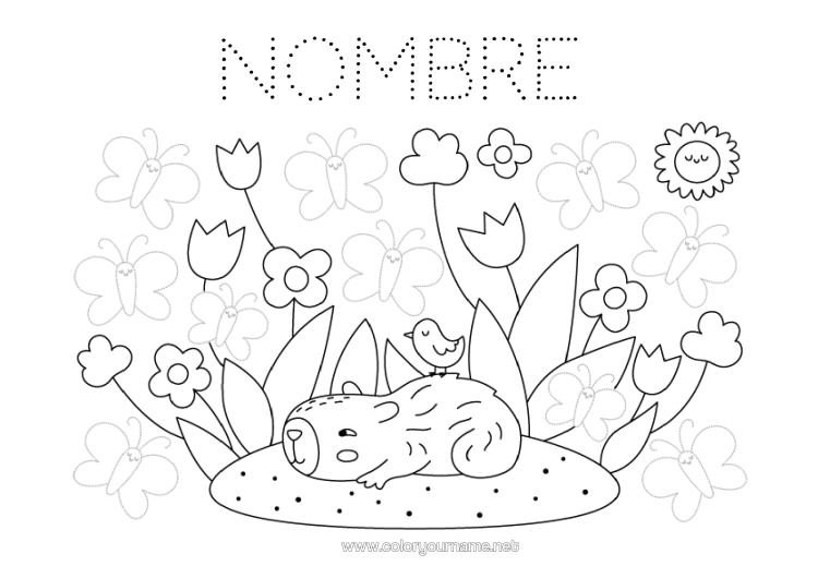 Dibujo para colorear para imprimir Primavera Mariposa Actividades Para Niños Tulipán Trazo Y Color Insectos Otros Animales Del Mundo Capibara