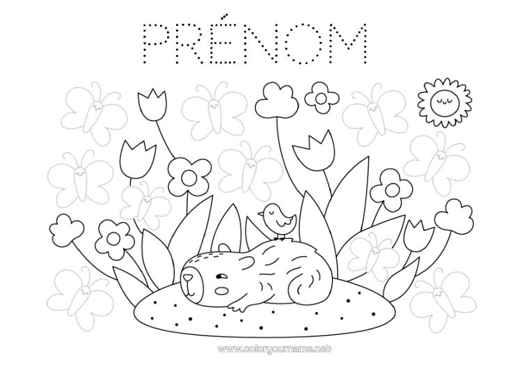 Coloriage à imprimer Printemps Papillon Activités Enfants Tulipe Trace Et Colorie Insectes Autres Animaux Du Monde Capibara