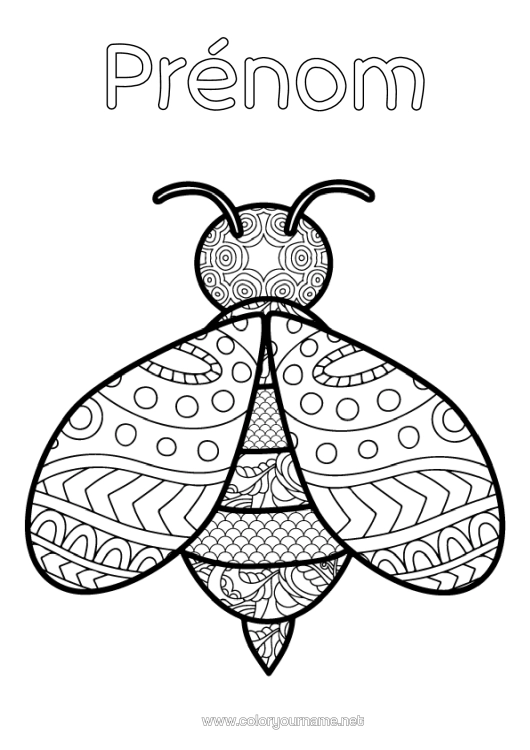 Coloriage à imprimer Abeille Zentangle Insectes