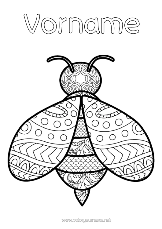 Malvorlage zum Ausdrucken Biene Zentangle Insekten