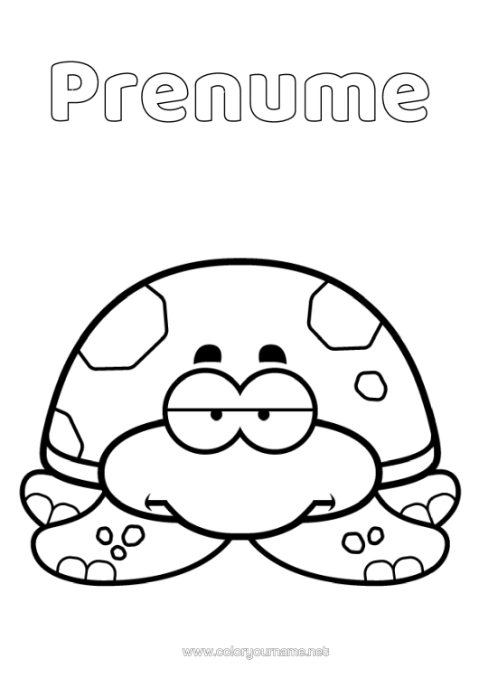 Pagină de colorat de imprimat Drăguț Broască Țestoasă Reptile Desen Animat Broască Țestoasă Terestră