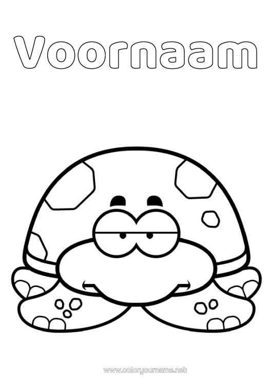 Kleurplaat om af te drukken Kawaii Schildpad Reptielen Cartoon Landschildpad