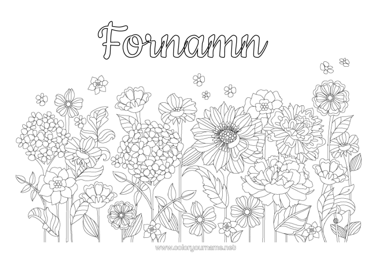 Färgläggningssida att skriva ut Blommor Vår Marguerite