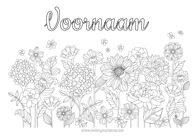 Kleurplaat om af te drukken Bloemen Lente Madeliefje