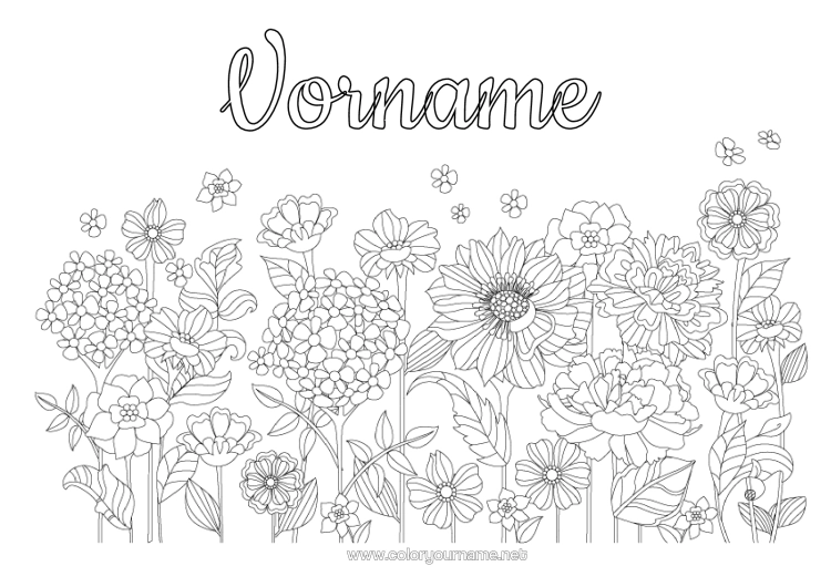 Malvorlage zum Ausdrucken Blumen Frühling Gänseblümchen