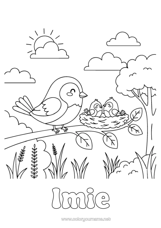 Kolorowanka do wydruku Ptak Ptaki I Latające Ssaki Gniazdo Ptasie Rodzina Zwierząt Dzieciak Zwierzęcy
