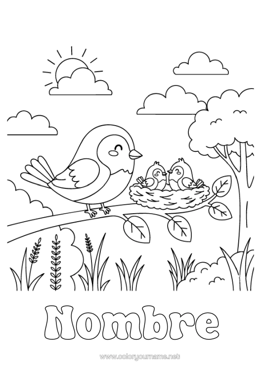 Dibujo para colorear para imprimir Pájaro Aves Y Mamíferos Voladores Nido De Pájaro Familia De Animales Bebé Animal