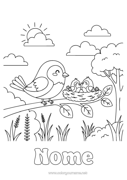 Página de desenho para imprimir Pássaro Pássaros E Mamíferos Voadores Ninho De Pássaro Família De Animais Filhote