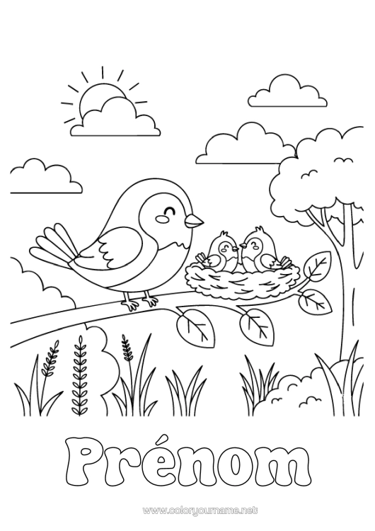 Coloriage à imprimer Oiseau Oiseaux Et Mammifères Volants Nid D'oiseau Famille D'animaux Bébé Animal