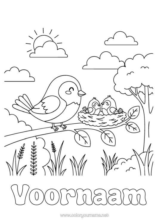 Kleurplaat om af te drukken Vogel Vogels En Vliegende Zoogdieren Vogelnest Dierenfamilie Dierenbaby
