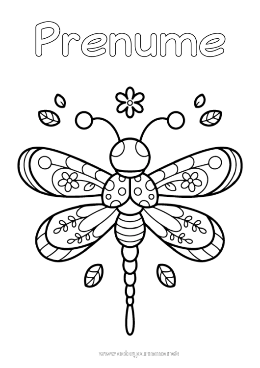 Pagină de colorat de imprimat Drăguț Insecte Libelulă