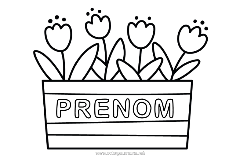 Coloriage à imprimer Tulipe Coloriages Faciles