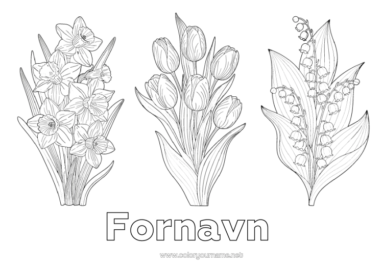 Fargeleggingssiden til utskrift Blomster Liljekonvall Påskeliljer Tulipan Realistisk