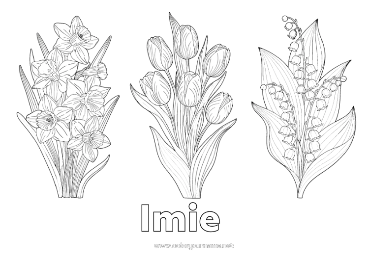 Kolorowanka do wydruku Kwiaty Konwalia Żonkile Tulipan Realistyczny