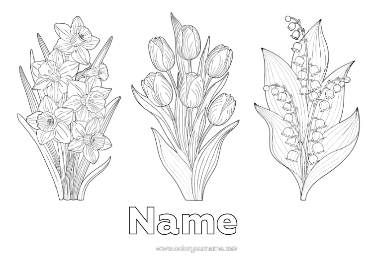 Coloring page to print Flowers Lily Of The Valley Daffodils Tulip Realistic