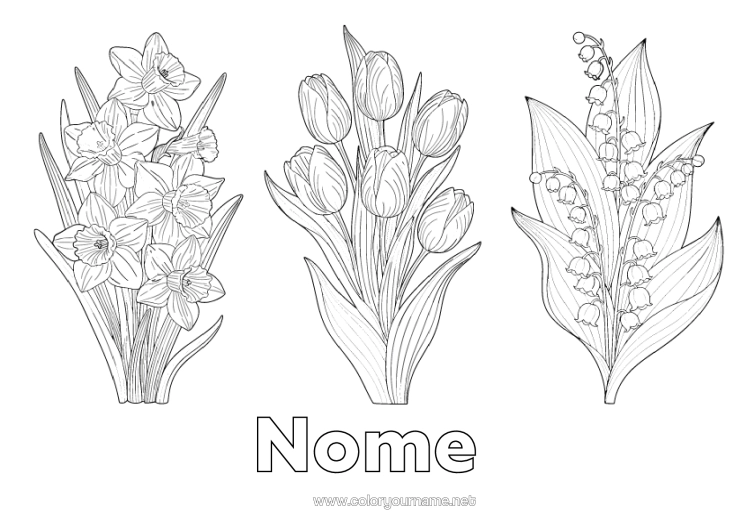 Pagina da colorare da stampare Fiori Mughetto Giunchiglie Tulipano Realista