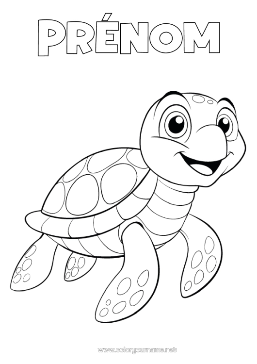 Coloriage à imprimer Tortue Animaux Marins Ou Aquatique Reptiles Cartoon Tortue Marine