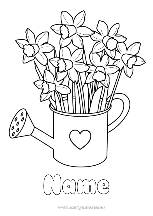 Colouring page to print Flowers Heart Daffodils Watering Can