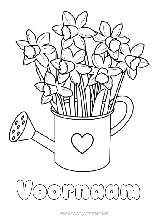 Kleurplaat om af te drukken Bloemen Hart Narcissen Gieter