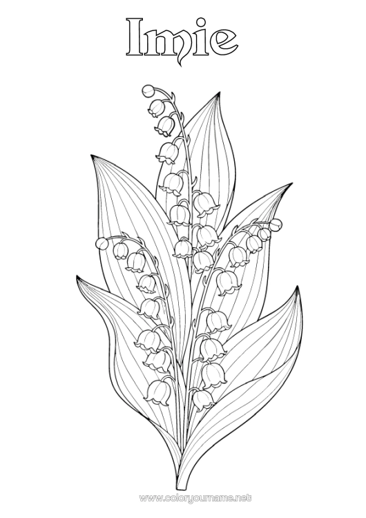 Kolorowanka do wydruku Kwiaty Konwalia 1 Maja Realistyczny