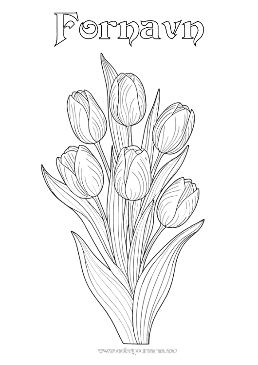 Fargeleggingssiden til utskrift Blomster Tulipan Realistisk