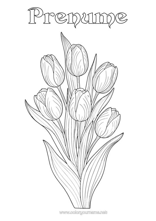 Pagină de colorat de imprimat Flori Lalea Realist