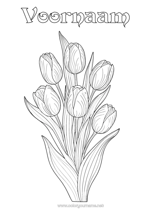 Kleurplaat om af te drukken Bloemen Tulp Realistisch