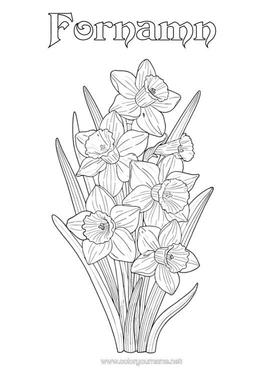 Färgläggningssida att skriva ut Blommor Påskliljor Realistisk