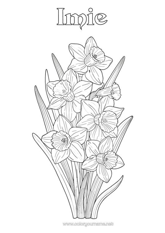 Kolorowanka do wydruku Kwiaty Żonkile Realistyczny
