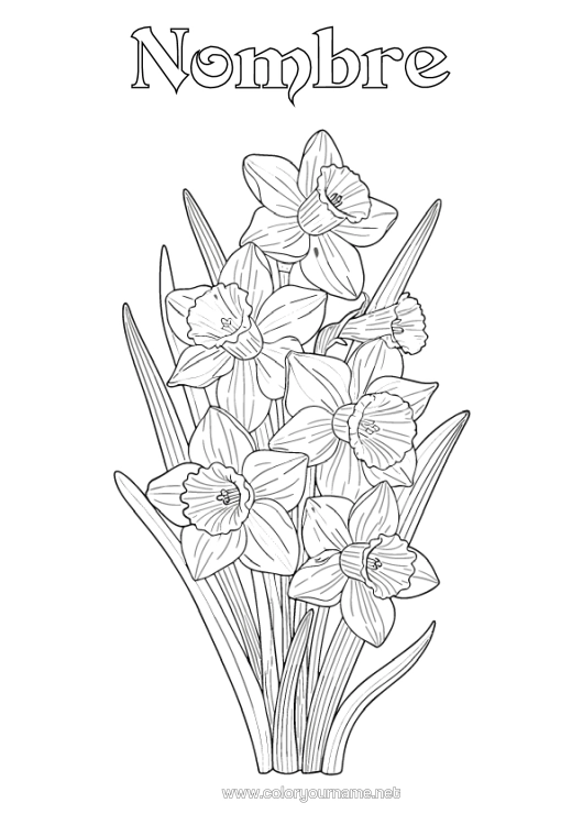 Dibujo para colorear para imprimir Flores Narcisos Realista