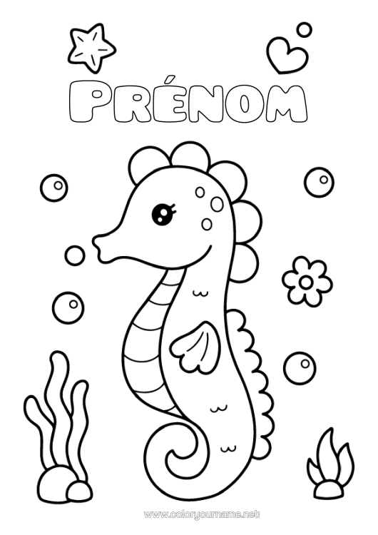 Coloriage à imprimer Hippocampe Coloriages Faciles Étoile De Mer Animaux Marins Ou Aquatique