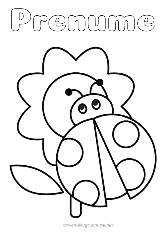 Pagină de colorat de imprimat Flori Gărgăriță Desene De Colorat Ușoare Insecte