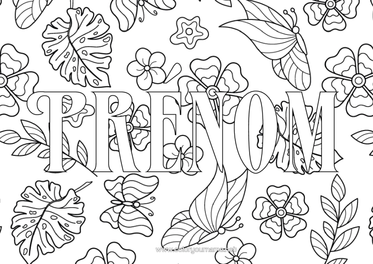 Coloriage à imprimer Fleurs Papillon Feuilles Trèfle Insectes Fond Décoratif