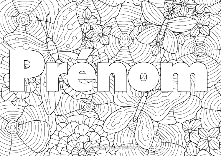 Coloriage à imprimer Fleurs Papillon Animal Coloriages Complexes Zentangle Insectes Fond Décoratif Coquelicot