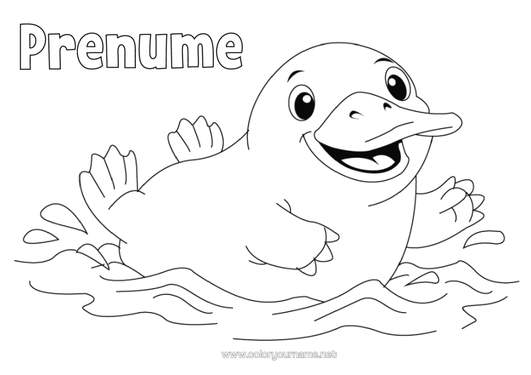 Pagină de colorat de imprimat Animale Marine Sau Acvatice Animale Din Australia Ornitorinc