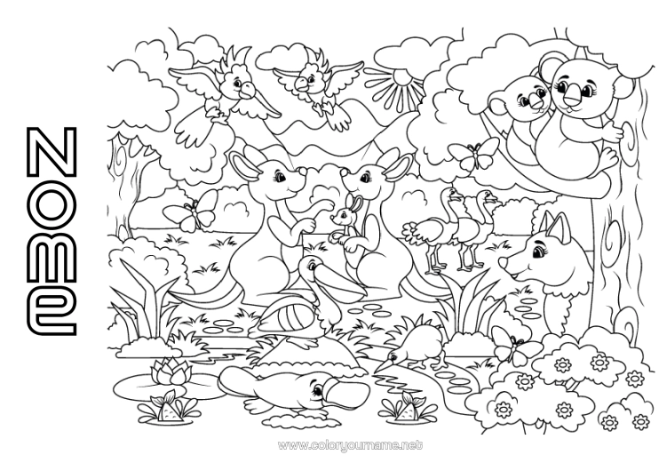Página de desenho para imprimir Animal Papagaio Coal Pássaros E Mamíferos Voadores Canguru Animais Da Austrália Ornitorrinco